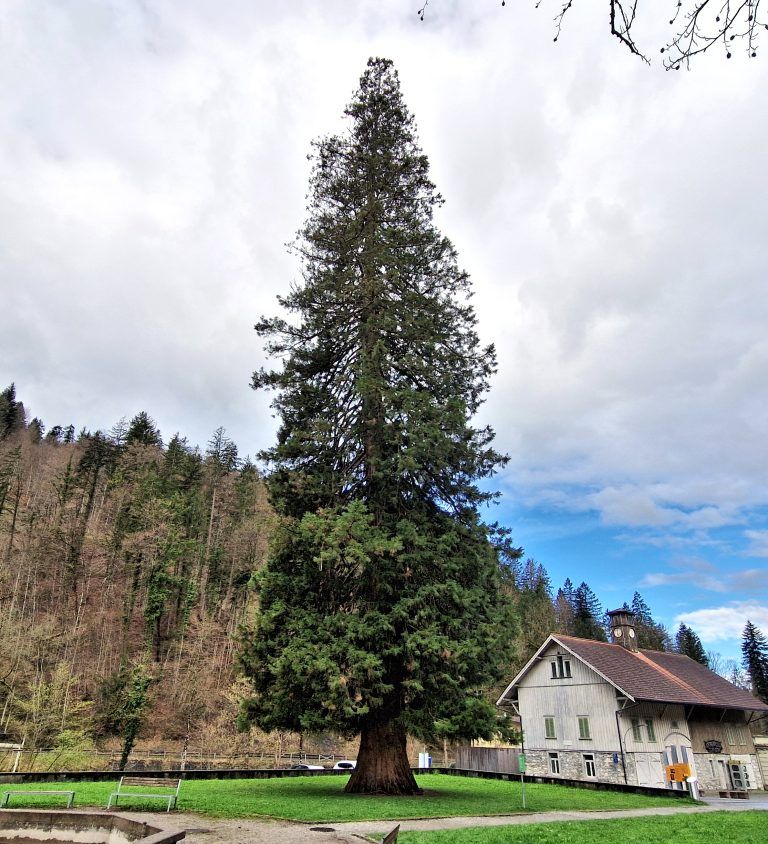 Wandertipp Dornbirn