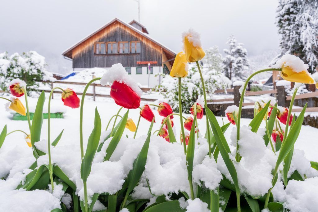 Eine Kaltfront setzt dem sommerlichen April ein Ende