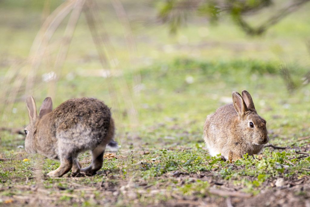 Orkanartige Böen und Regenschauer fegten über den Großteil des Landes
