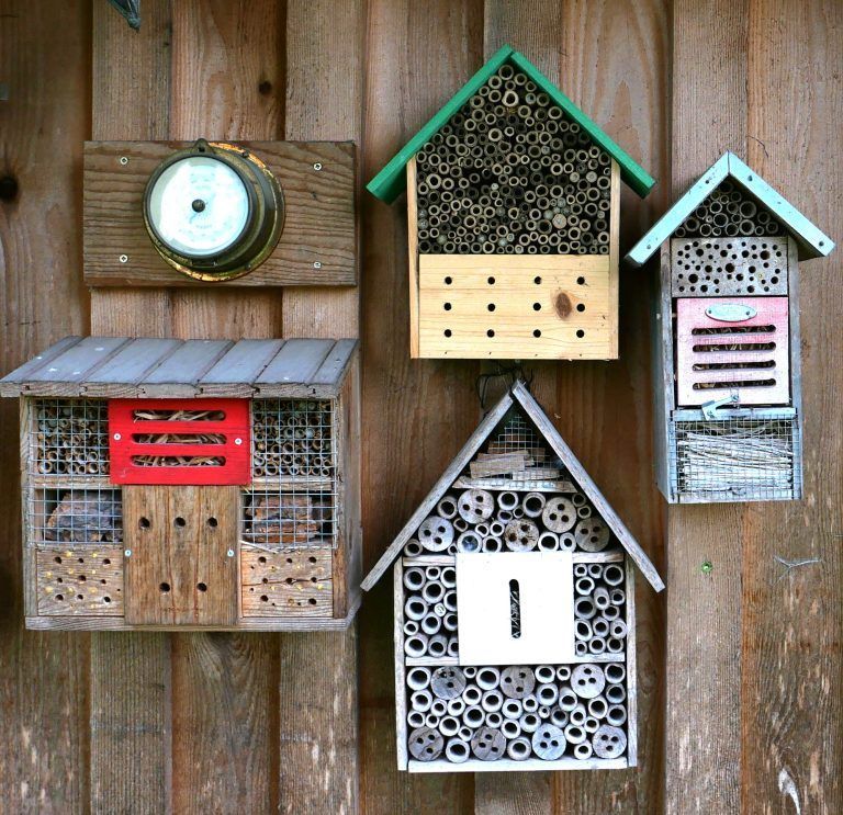 Gartentipp