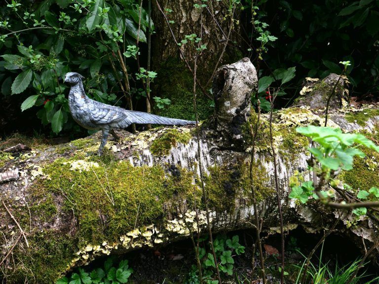 Gartentipp