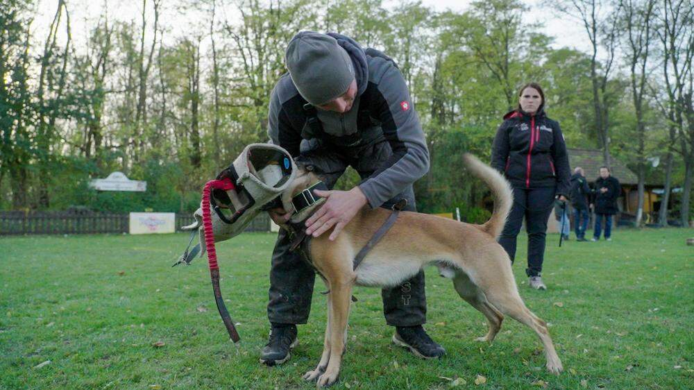 „Hunde dürfen nicht zur Waffe erzogen werden“