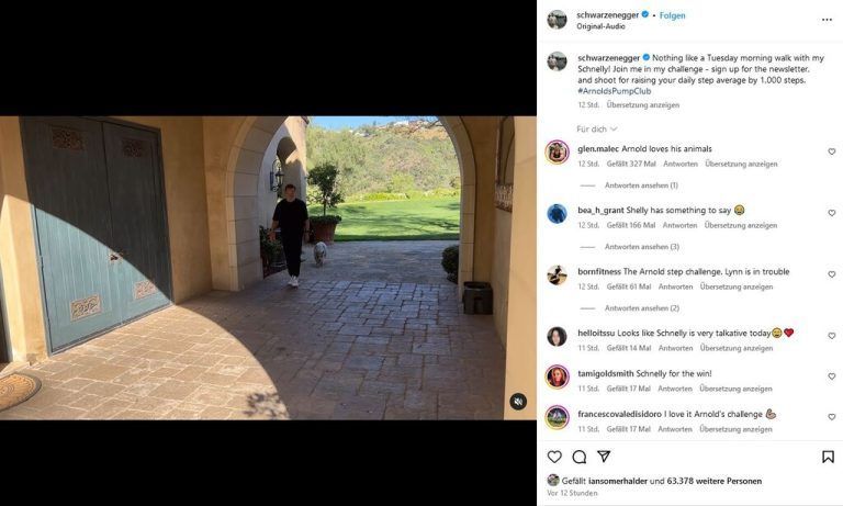„Terminator“ Arnold Schwarzenegger ist bereits seit Jahrzehnten als Tierliebhaber bekannt. Auf seinem Anwesen leben zahlreiche Vierbeiner, darunter auch Hausschwein Schnelly. Der gebürtige Steirer postete kürzlich ein lustiges Video mit seinem Haustier. Die beiden müssen ihren Fittness-Walk absolvieren, um in Form zu bleiben. Das Schweinchen trottet dem Schauspieler erfreut hinterher und grunzt aufgeregt.