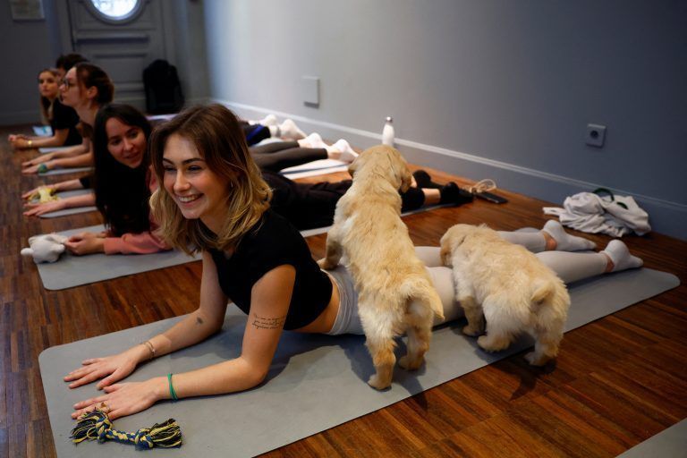 FRANCE-YOGA/PUPPIES