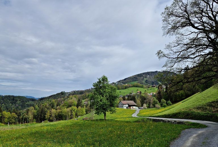 Wandertipp Zwischenwasser Muntlix Batschuns