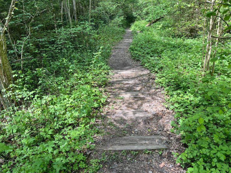 „Wenn die Baustraße da ist, wird Rad gefahren“