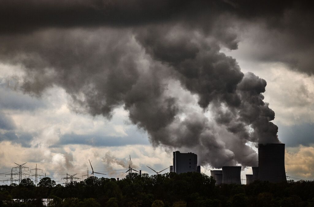 Klimaaktivisten wollen Land von Energiekonzern für Millionenbetrag kaufen