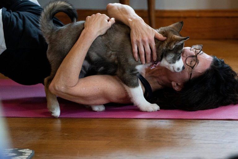 Syndication: The Record Apr 13, 2024 Ridgewood, NJ, United States Lorraine Haskins from Ridgewood cuddles a puppy. A Pathway to Hope, a dog and cat rescue organization, holds a puppy yoga class at the Unitarian Society of Ridgewood on Saturday morning. North Jersey , EDITORIAL USE ONLY PUBLICATIONxINxGERxSUIxAUTxONLY Copyright: xAnne-MariexCaruso/NorthJersey.comx USATSI_23015111