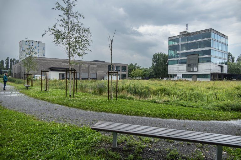 Freude im Freudenhaus: auch in Zukunft wird in Lustenau aufgespielt