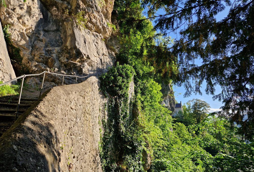 Wandertipp: Kapfschlucht und Wildpark Feldkirch