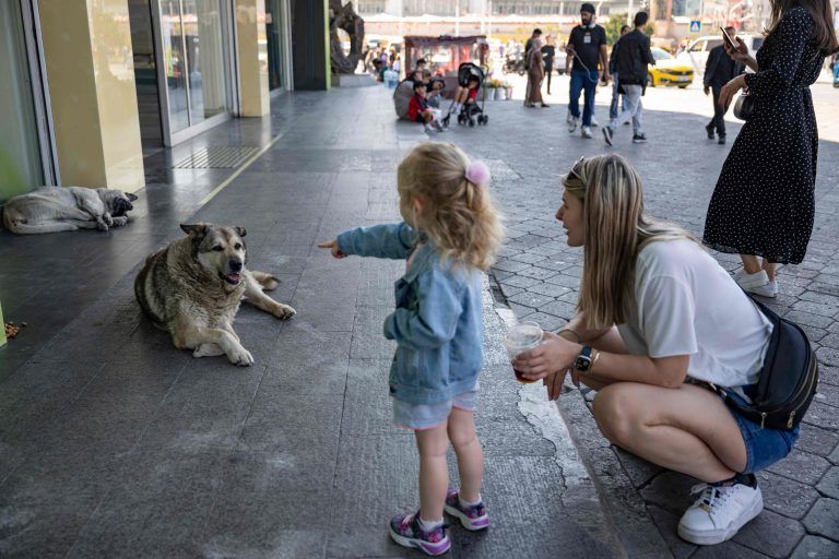 TURKEY-HEALTH-ANIMAL-LAW-PARLIAMENT