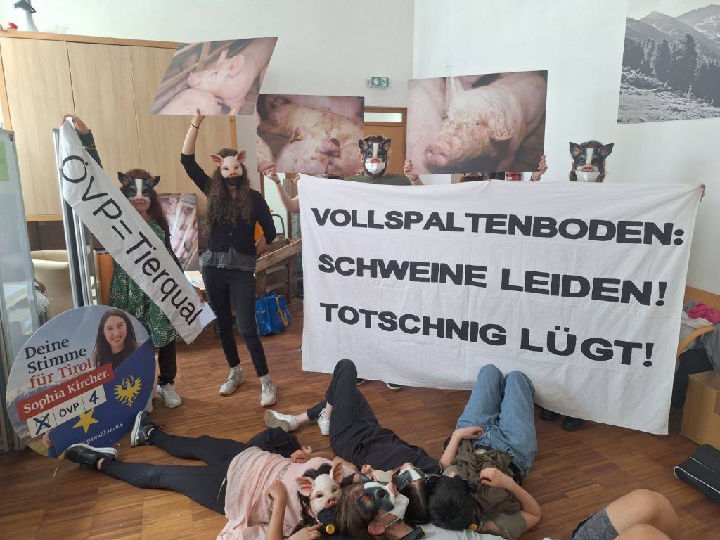 Tierschützer besetzten ÖVP-Parteizentrale