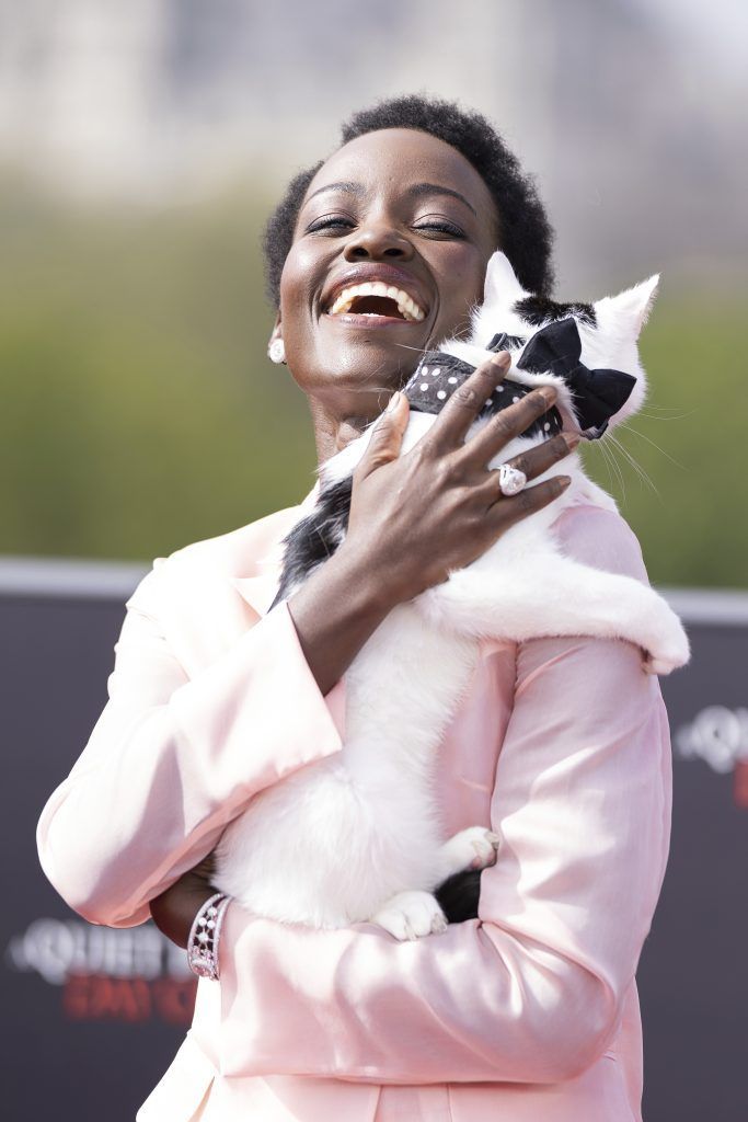 Tierheim-Kater Yoyo half Lupita Nyong‘o über Trennung hinweg
