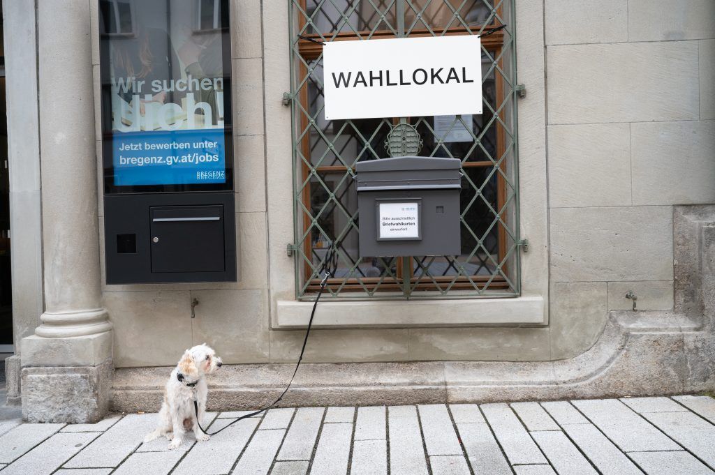 EU-Wahl: Die Spitzenkandidaten haben gewählt