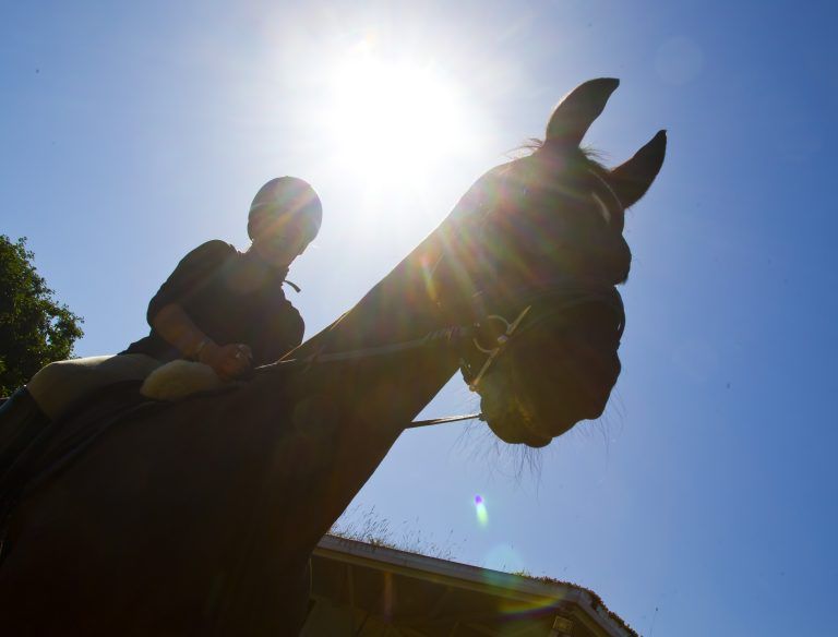 Reittherapie Carina Thomas Vogt und Pferd