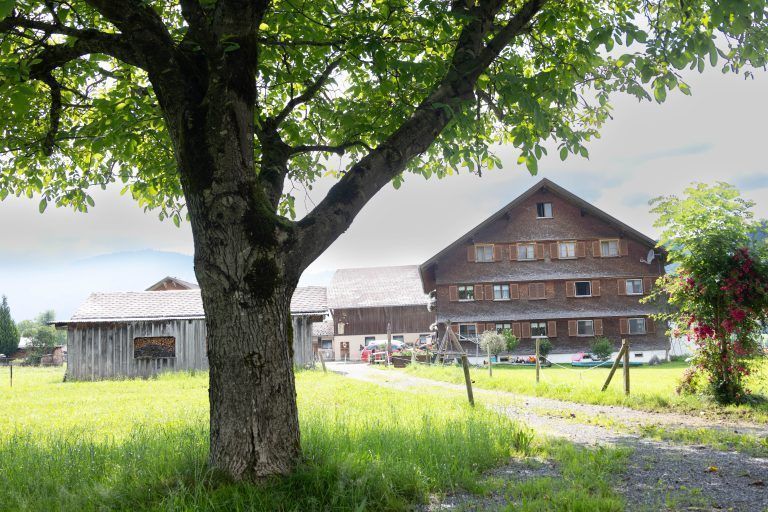 Um die Existenz bangen: Heimische Bauern überboten