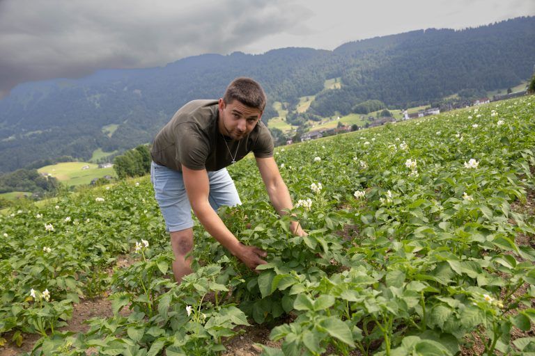 Um die Existenz bangen: Heimische Bauern überboten
