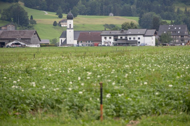 Um die Existenz bangen: Heimische Bauern überboten