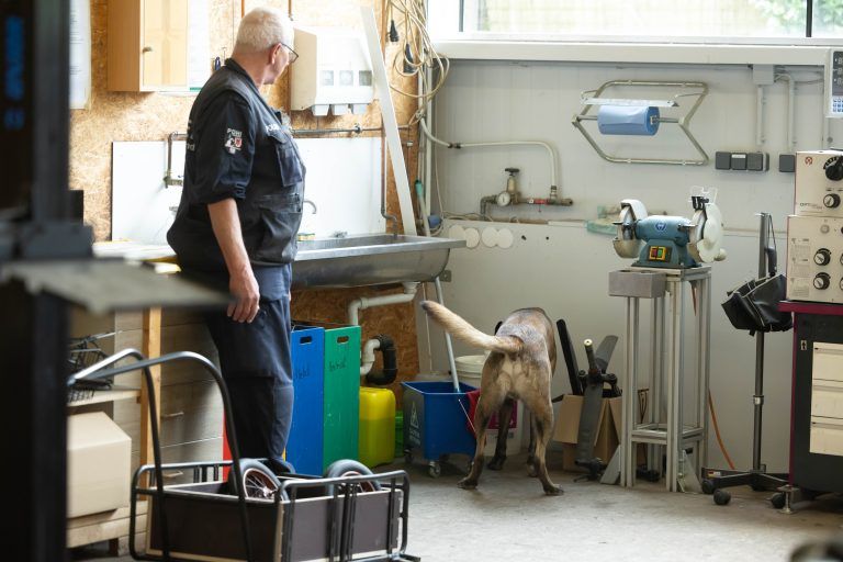 Polizei Polizeihund Hundeübung ssuchtgift