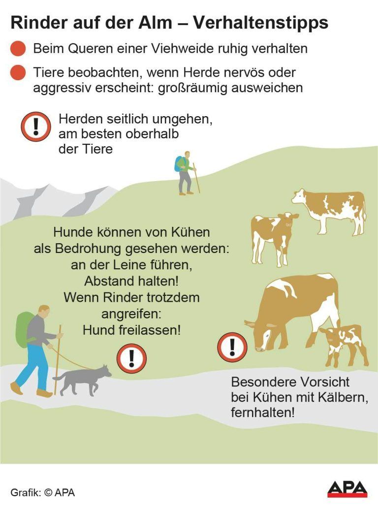 Ausgewhlte Tipps fr das Queren von Viehweiden, Wandern mit Hund, Khe mit Klbern; Die Auslieferung der APA-Grafiken als Embed-Code ist ausschlie§lich Kunden mit einer gltigen Vereinbarung fr Grafik-Pauschalierung vorbehalten. Dabei inkludiert sind automatisierte Schrift- und Farbanpassungen an die jeweilige CI. Fr weitere Informationen wenden Sie sich bitte an unser Grafik-Team unter grafik@apa.at. GRAFIK 0868-24, 88 […]