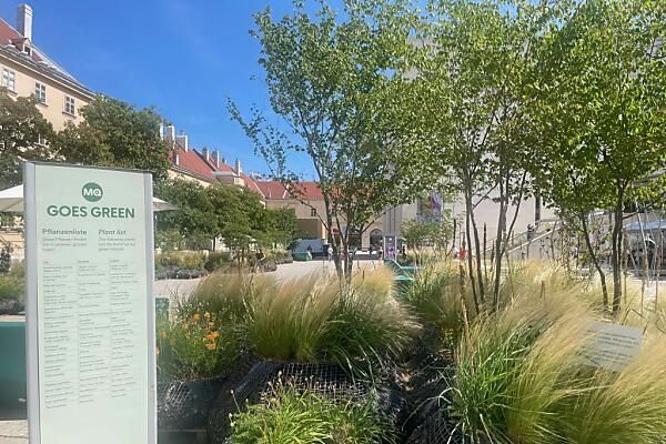 Museumsquartier legt ersten Klimabericht vor