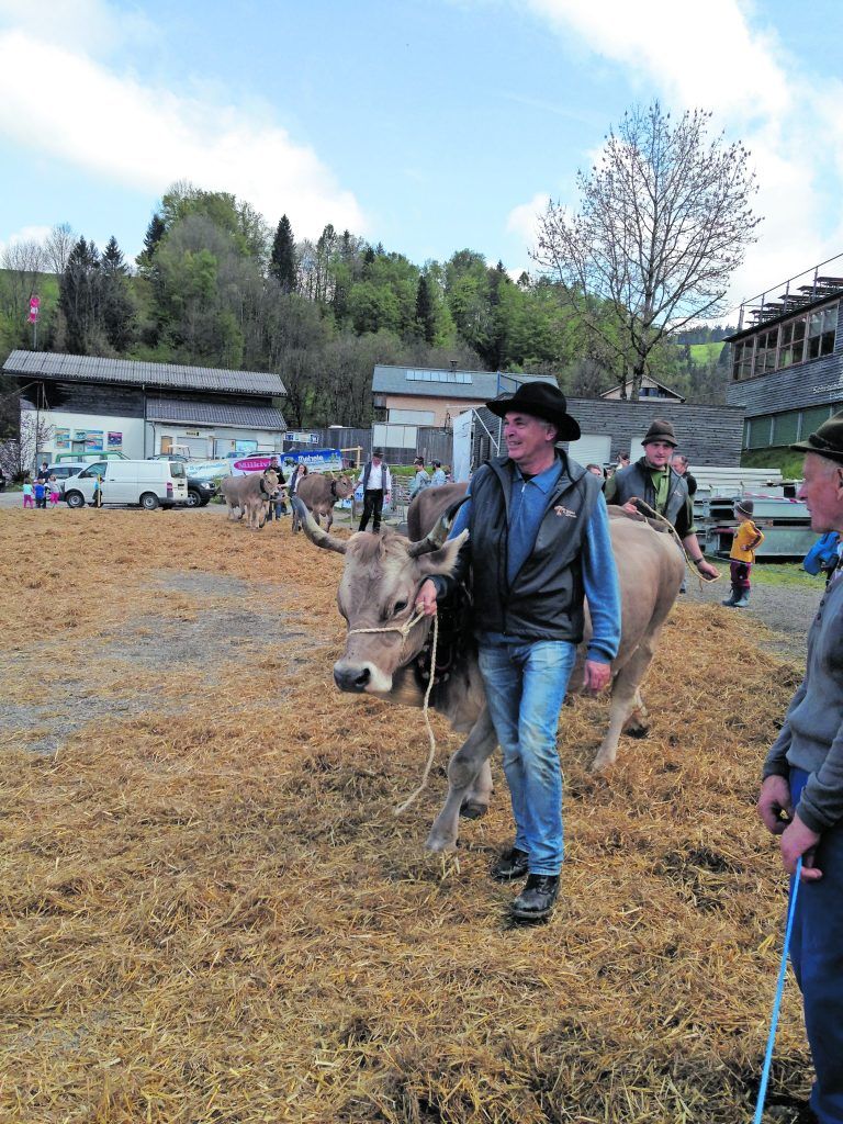 Alpe Krähenberg und Co: Bauernland in falscher Hand?
