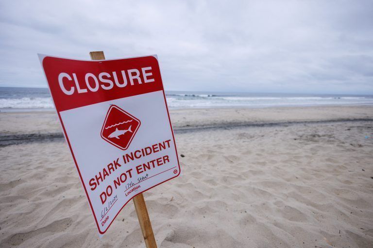USA-CALIFORNIA/SHARK ATTACK