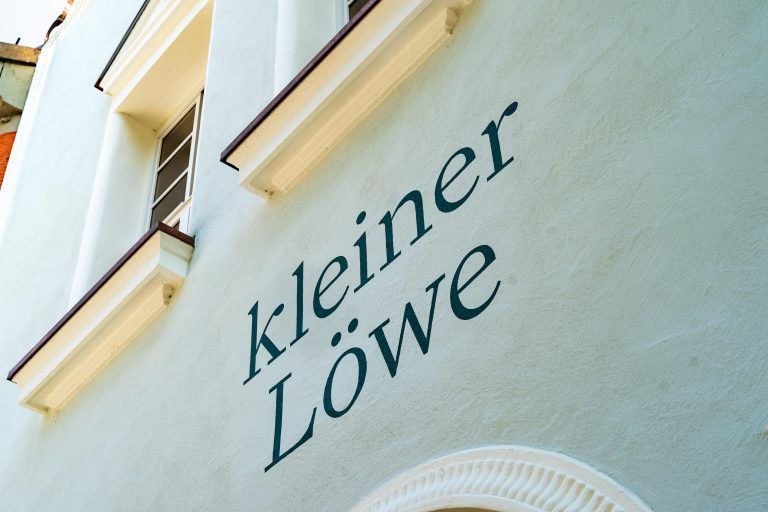 "Kleiner Löwe" in Bregenz zeigt sich ganz groß