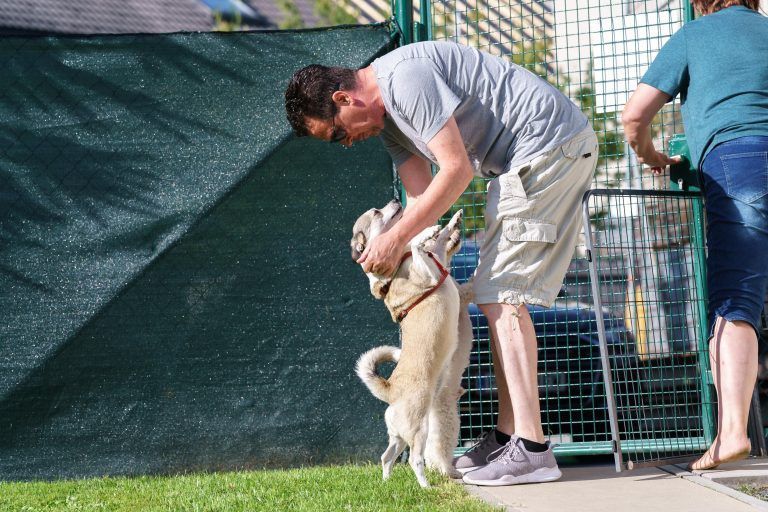 Herzliches Wiedersehen für Hund Lio und Familie Prentner nach dem Urlaub