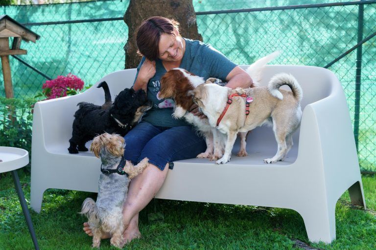 Herzliches Wiedersehen für Hund Lio und Familie Prentner nach dem Urlaub