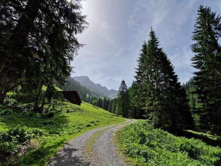 Wandertipp Alpwanderung von Damüls nach Au
