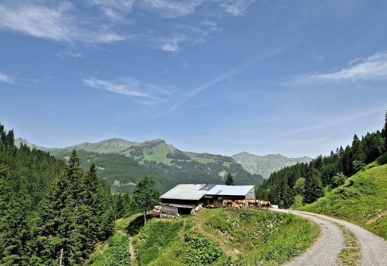 Wandertipp Alpwanderung von Damüls nach Au