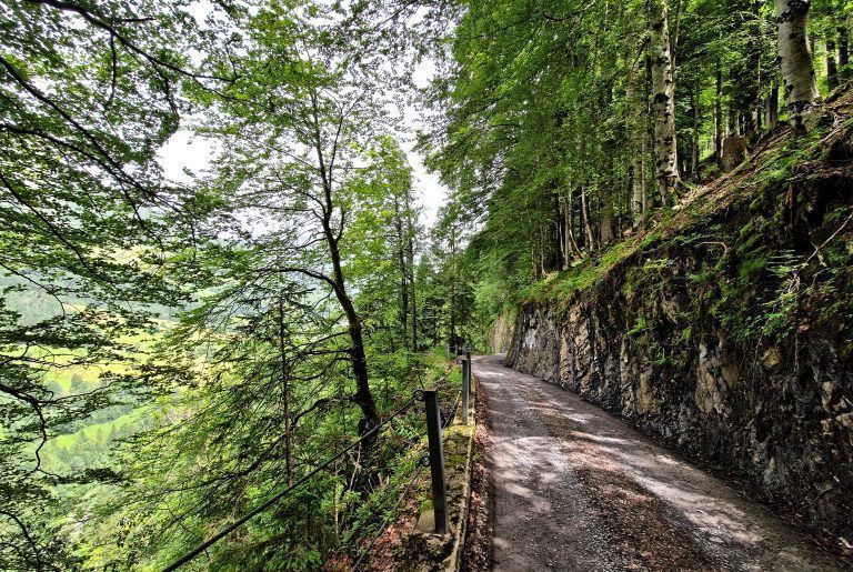 Wandertipp Alpwanderung von Damüls nach Au