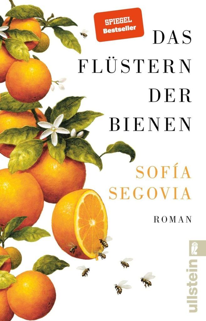 Mit einem Buch am Strand: Büchertipps der Redaktion