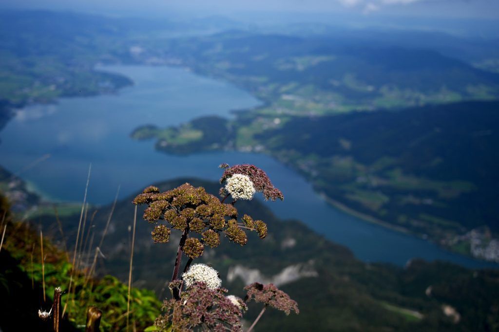 Der Mondsee bleibt in privater Hand &#8211; und die anderen Seen?