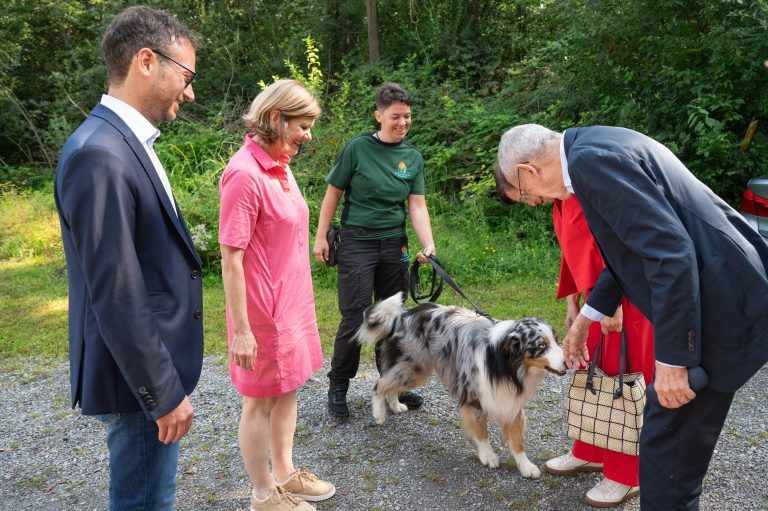 Moor van der Bellen
