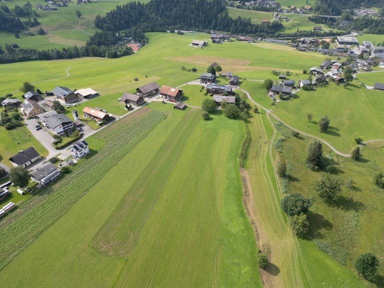 Um die Existenz bangen: Heimische Bauern überboten