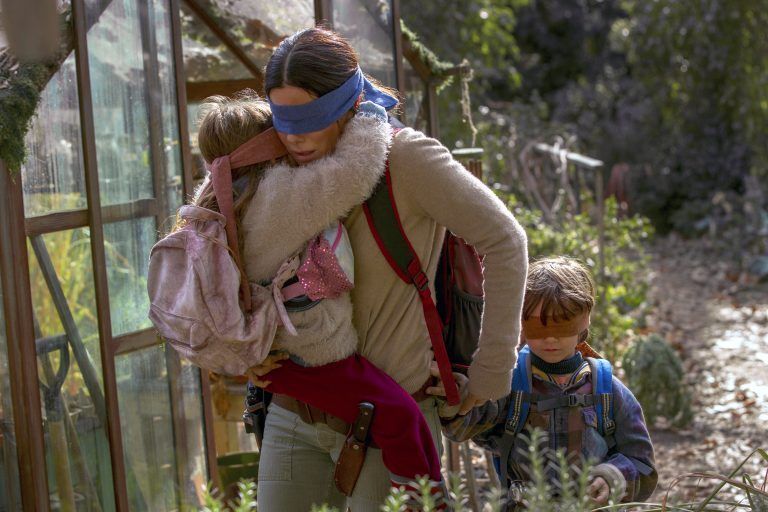 Film-Bird Box-Footage