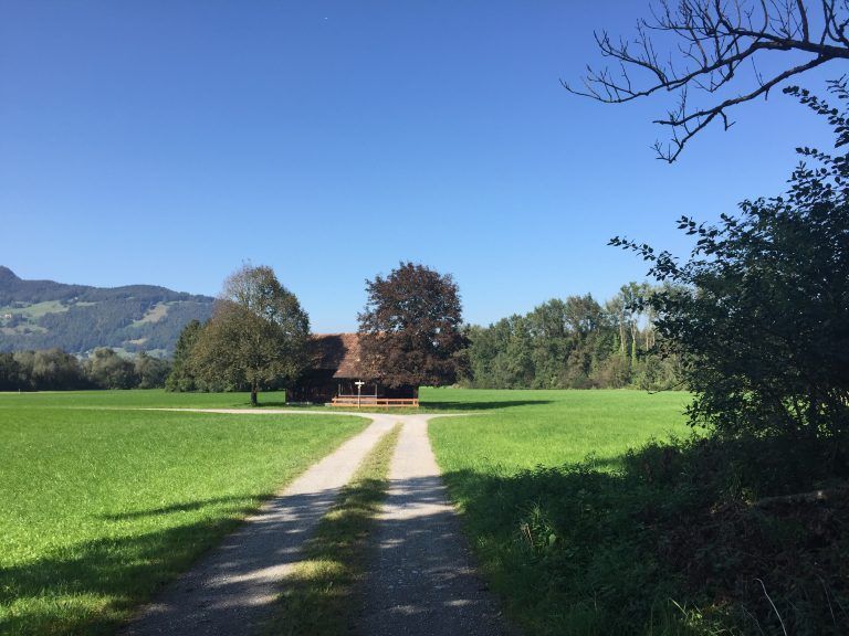 Matschels