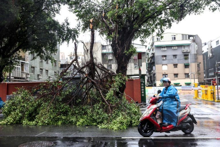 A motorcyclist rides past fallen trees due to strong winds caused by Typhoon Gaemi in Keelung on July 25, 2024. (Photo by I-Hwa CHENG / AFP)
