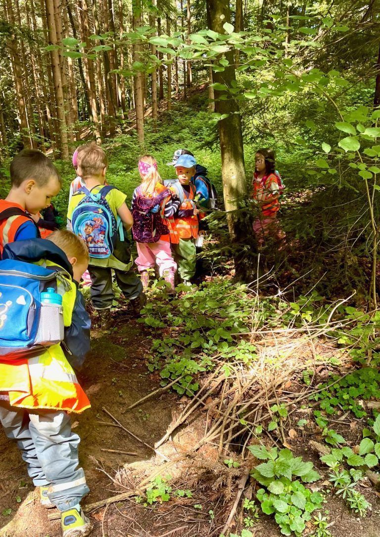 Erlebnis im Wald