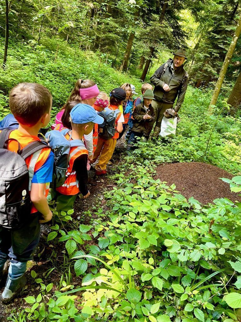 Erlebnis im Wald