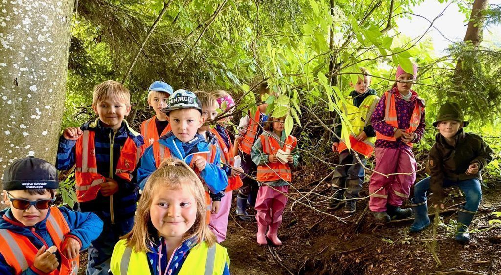 Vom Ameisenhaufen bis zum Dachsbau: Ein Ausflug in den Wald
