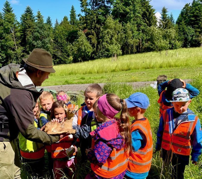Erlebnis im Wald