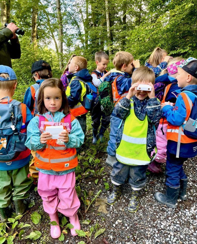 Erlebnis im Wald