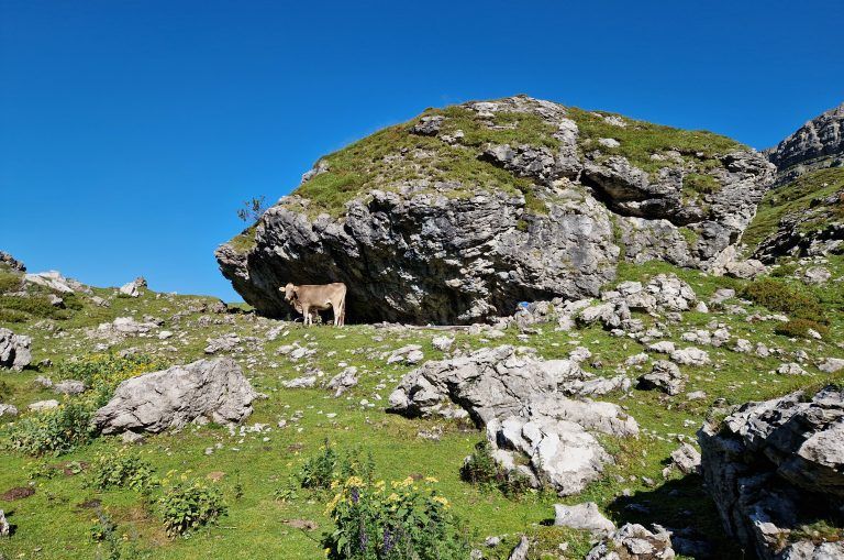 Wandertipp 546