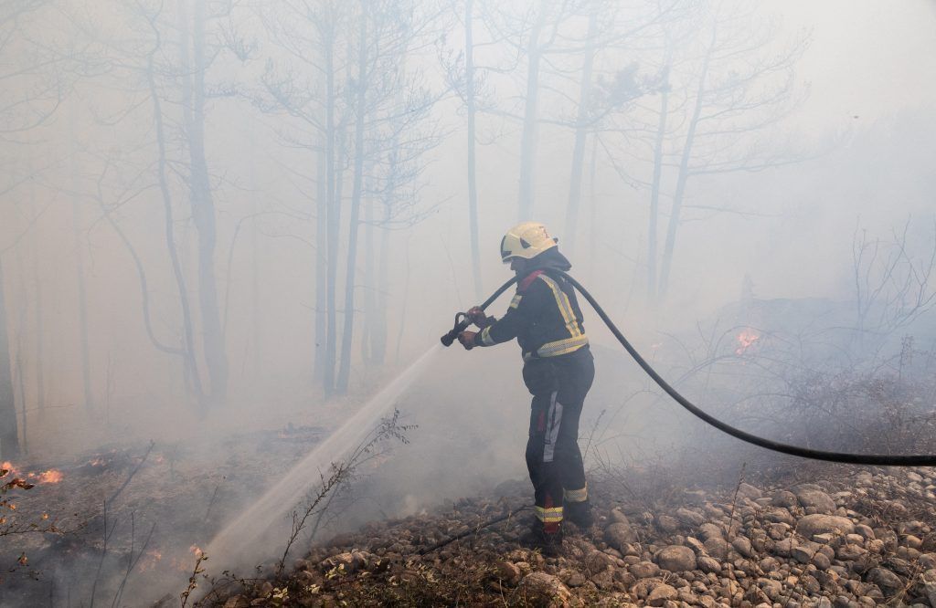 Brand im Bereich Adria-Küste löst Feuerwehreinsatz aus