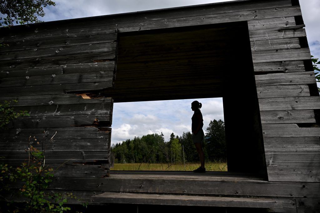 Moore wiederbeleben: Vorarlberg Moor als Vorzeigeprojekt