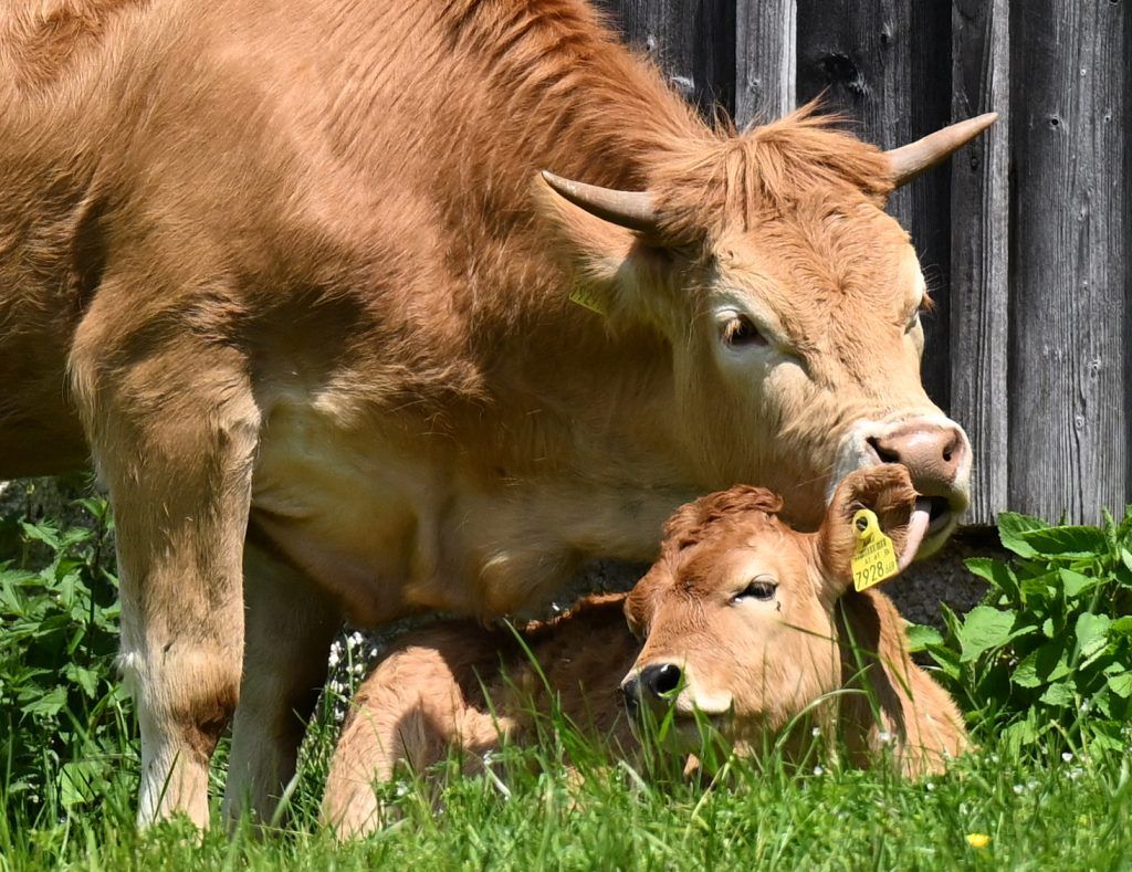 Land entwarnt: PFAS-Werte unauffällig