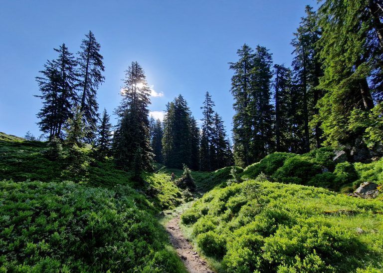 Wandertipp Muttjöchle